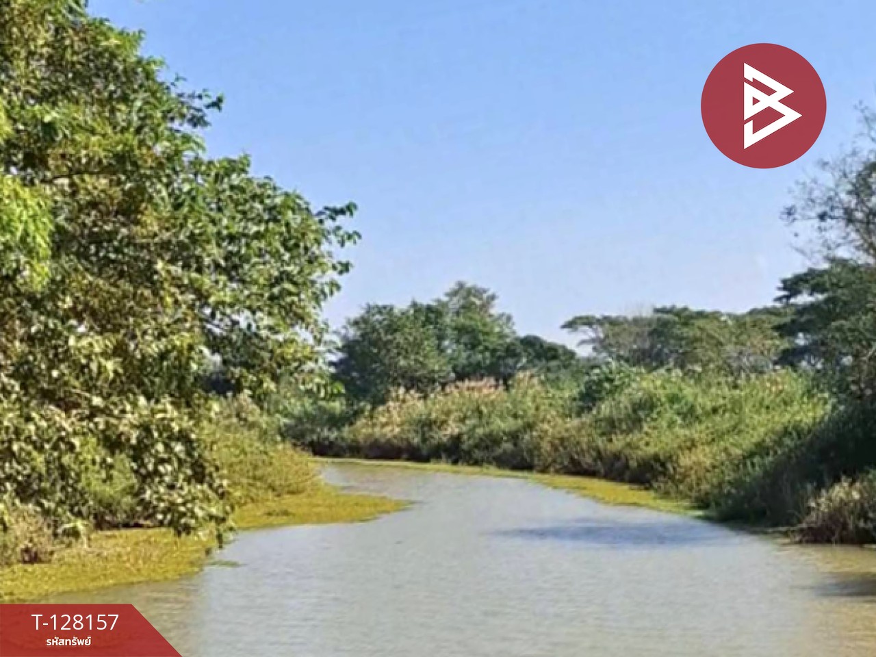 ขายที่ดินพร้อมสิ่งปลูกสร้าง เนื้อที่ 67 ไร่ 1 งาน 51 ตารางวา ป่าอ้อดอนชัย เชียงราย 8