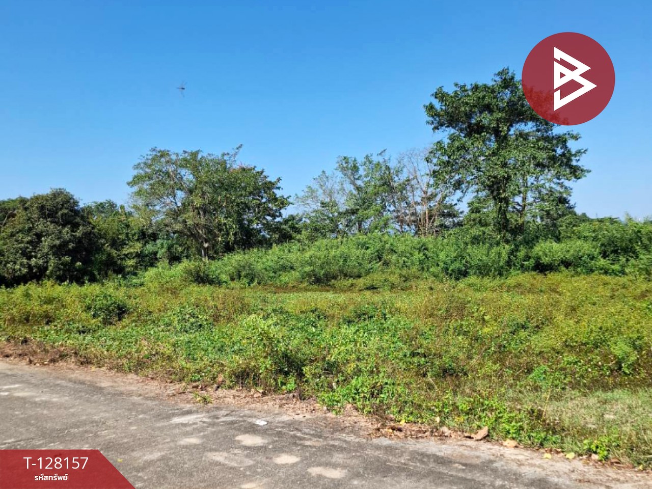 ขายที่ดินพร้อมสิ่งปลูกสร้าง เนื้อที่ 67 ไร่ 1 งาน 51 ตารางวา ป่าอ้อดอนชัย เชียงราย 4