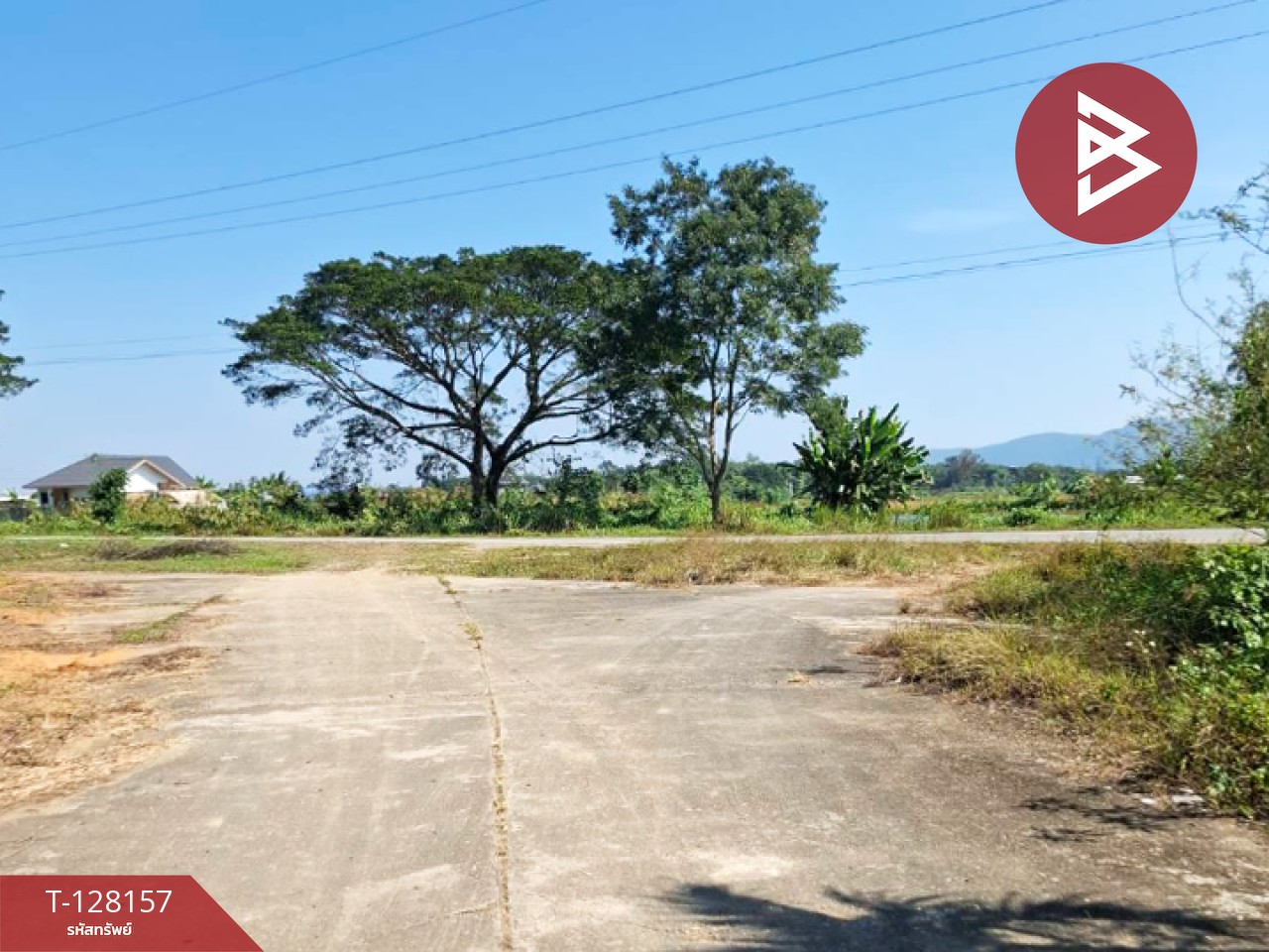 ขายที่ดินพร้อมสิ่งปลูกสร้าง เนื้อที่ 67 ไร่ 1 งาน 51 ตารางวา ป่าอ้อดอนชัย เชียงราย 5