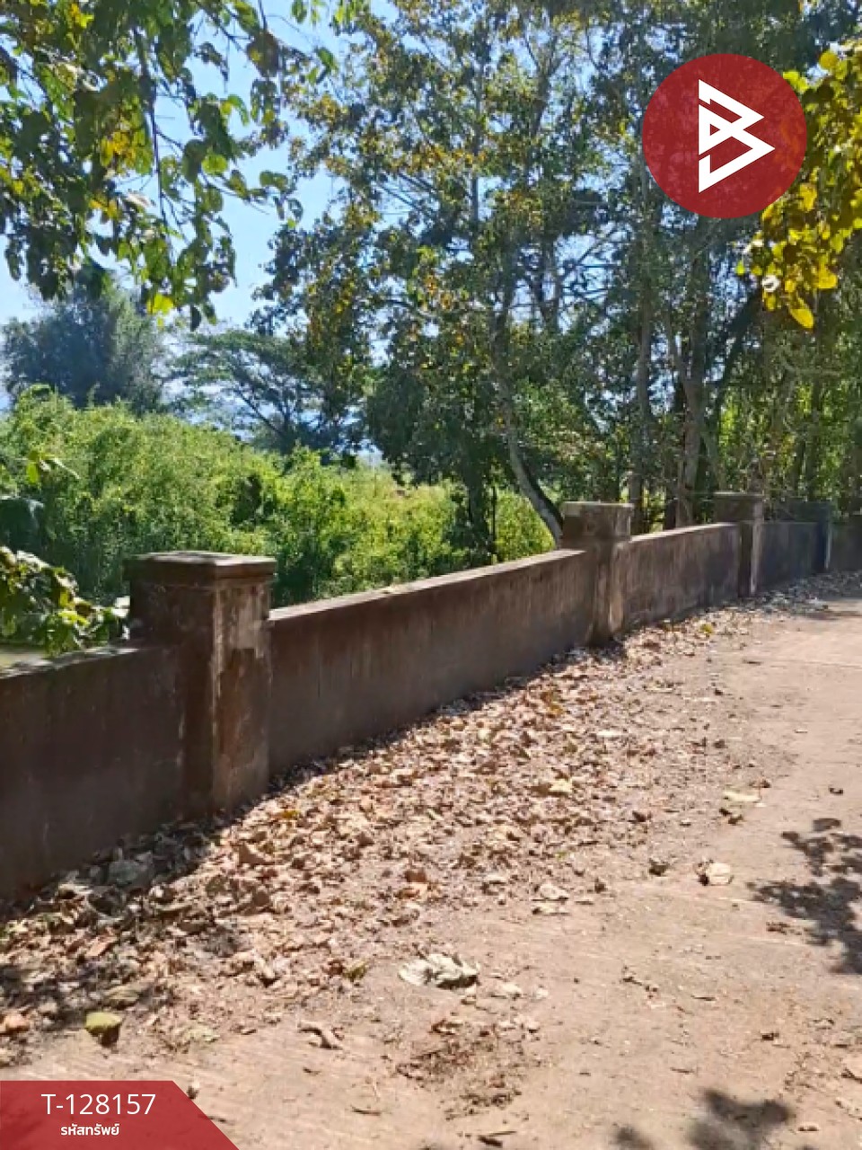 ขายที่ดินพร้อมสิ่งปลูกสร้าง เนื้อที่ 67 ไร่ 1 งาน 51 ตารางวา ป่าอ้อดอนชัย เชียงราย 9