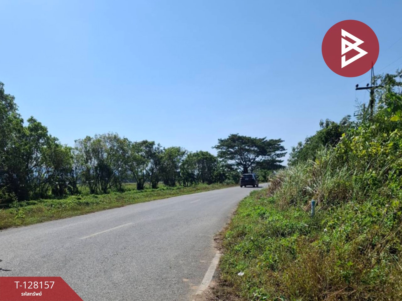 ขายที่ดินพร้อมสิ่งปลูกสร้าง เนื้อที่ 67 ไร่ 1 งาน 51 ตารางวา ป่าอ้อดอนชัย เชียงราย 6