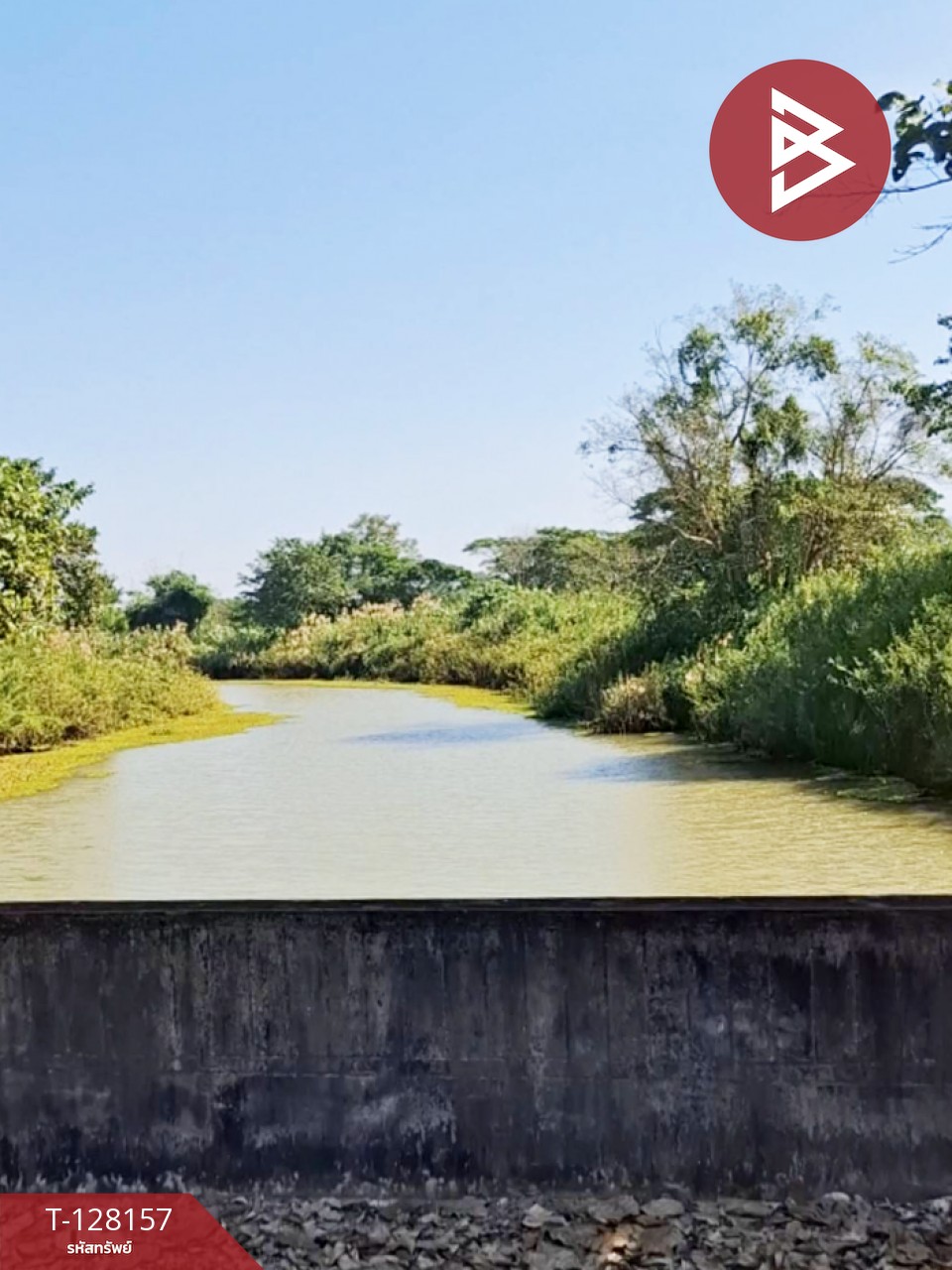 ขายที่ดินพร้อมสิ่งปลูกสร้าง เนื้อที่ 67 ไร่ 1 งาน 51 ตารางวา ป่าอ้อดอนชัย เชียงราย 10