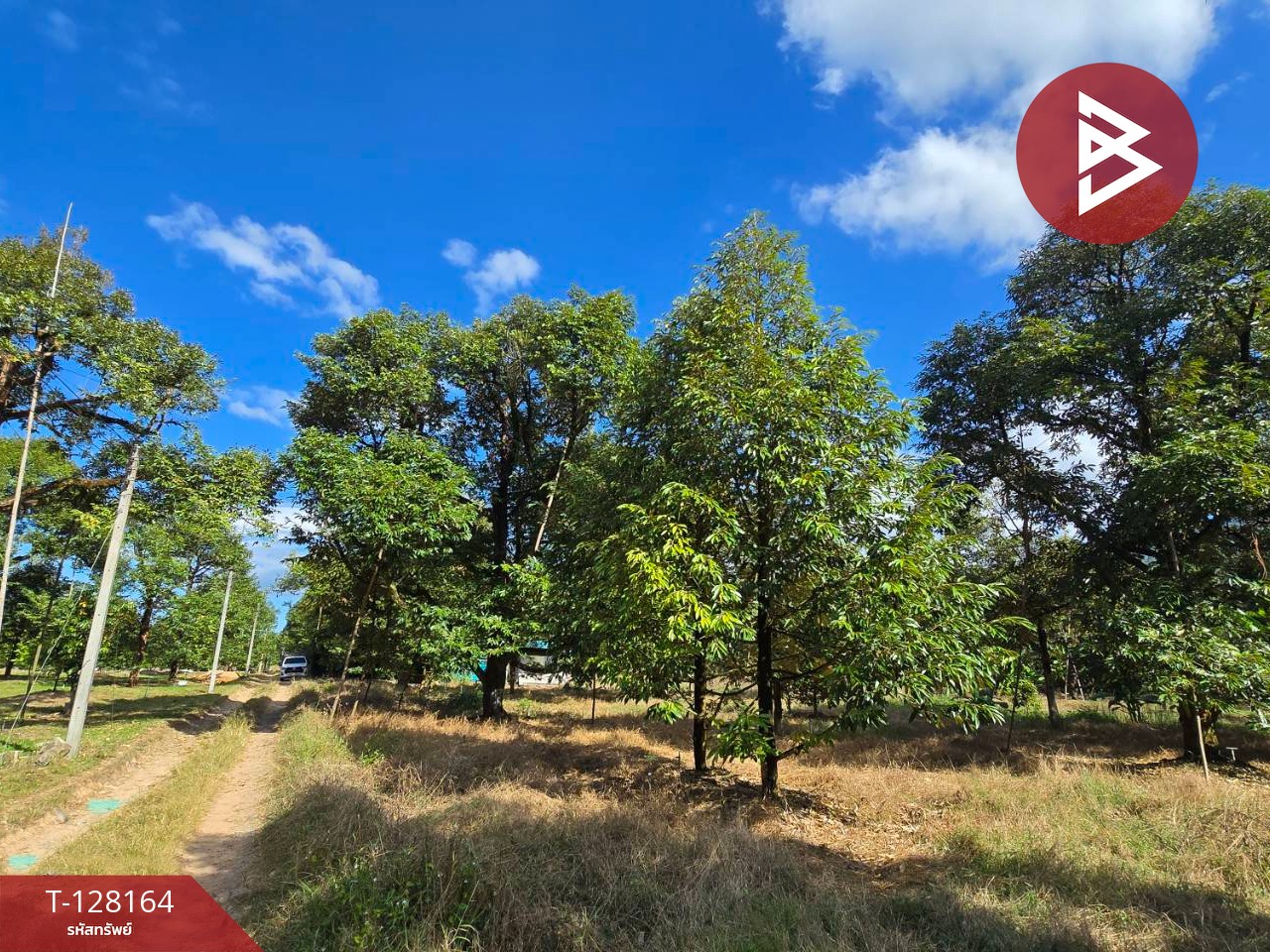 ขายที่ดินพร้อมสวน เนื้อที่ 20 ไร่ 71.4 ตร.วา เขาคิชฌกูฏ จันทบุรี 6