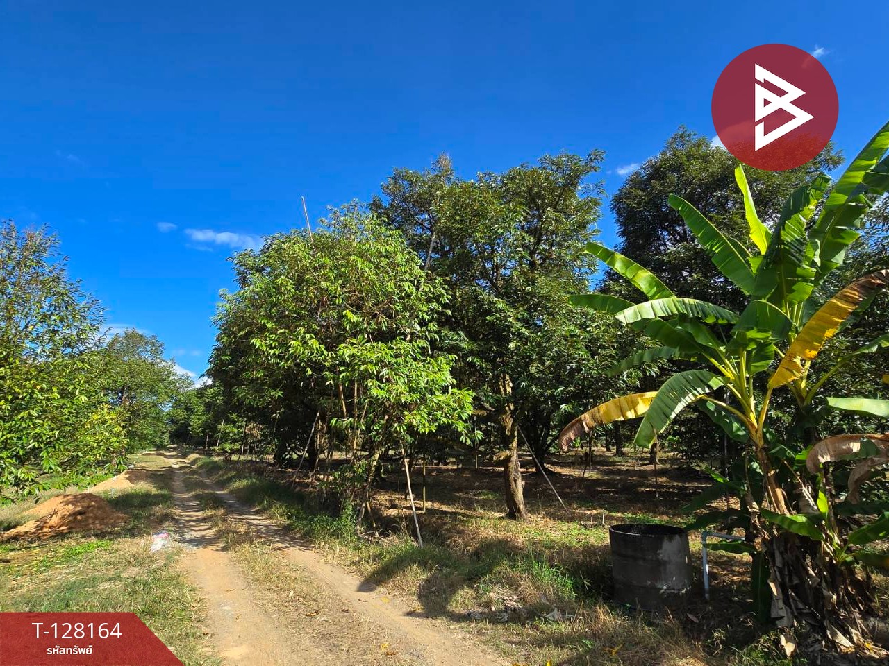 ขายที่ดินพร้อมสวน เนื้อที่ 20 ไร่ 71.4 ตร.วา เขาคิชฌกูฏ จันทบุรี 3