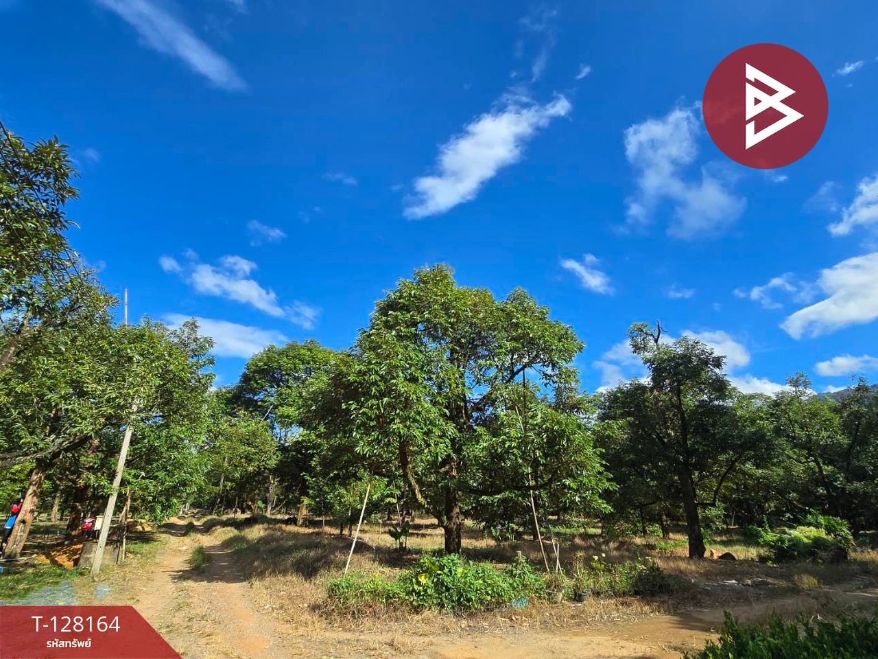 ขายที่ดินพร้อมสวน เนื้อที่ 20 ไร่ 71.4 ตร.วา เขาคิชฌกูฏ จันทบุรี 4