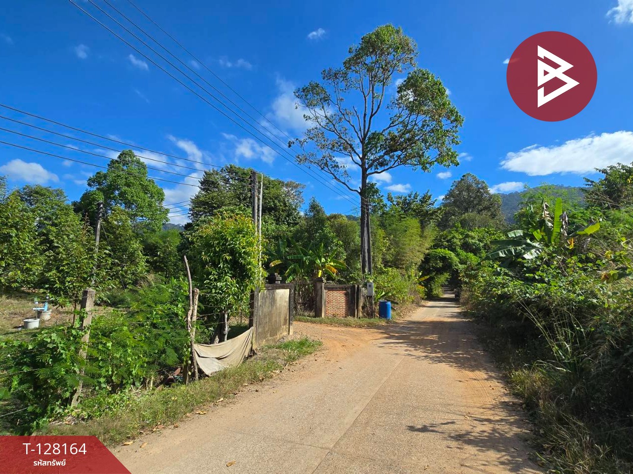 ขายที่ดินพร้อมสวน เนื้อที่ 20 ไร่ 71.4 ตร.วา เขาคิชฌกูฏ จันทบุรี 2