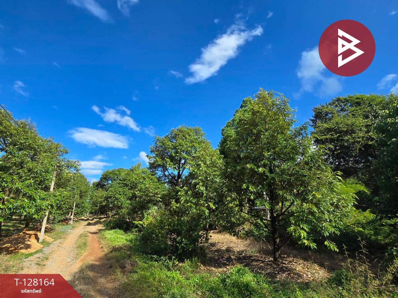 ขายที่ดินพร้อมสวน เนื้อที่ 20 ไร่ 71.4 ตร.วา เขาคิชฌกูฏ จันทบุรี 5
