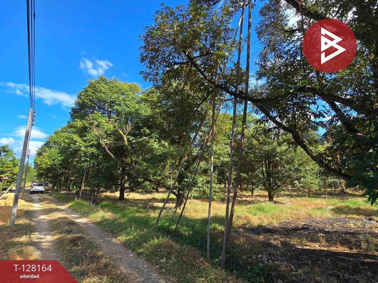 ขายที่ดินพร้อมสวน เนื้อที่ 20 ไร่ 71.4 ตร.วา เขาคิชฌกูฏ จันทบุรี 9
