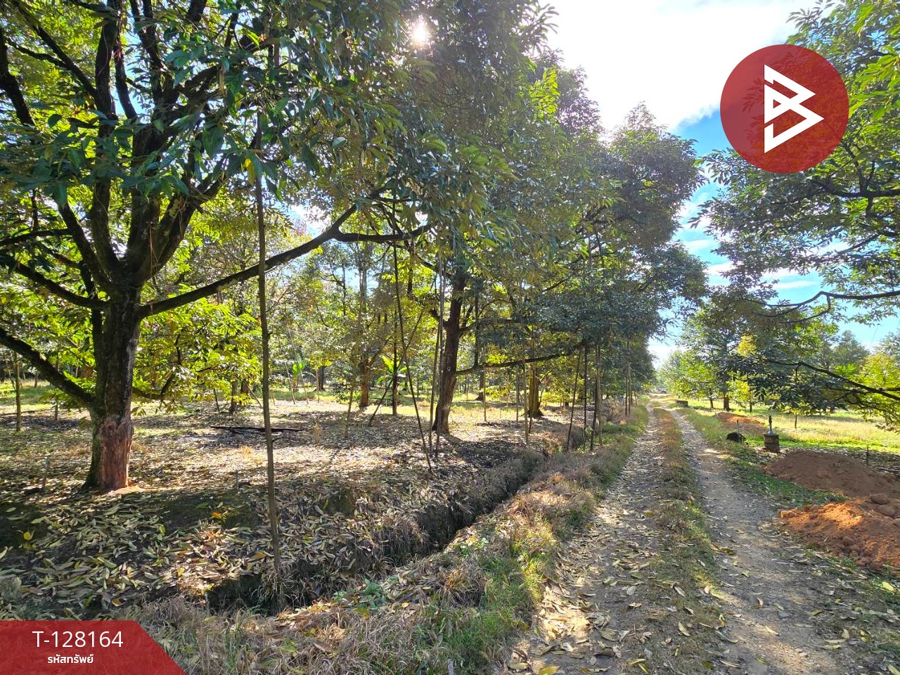 ขายที่ดินพร้อมสวน เนื้อที่ 20 ไร่ 71.4 ตร.วา เขาคิชฌกูฏ จันทบุรี 12