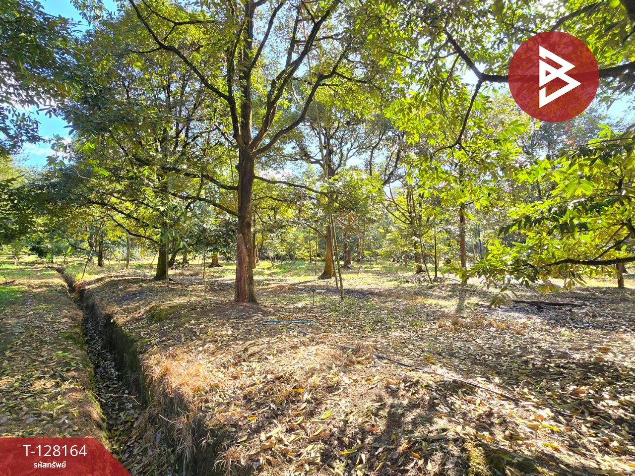 ขายที่ดินพร้อมสวน เนื้อที่ 20 ไร่ 71.4 ตร.วา เขาคิชฌกูฏ จันทบุรี 13