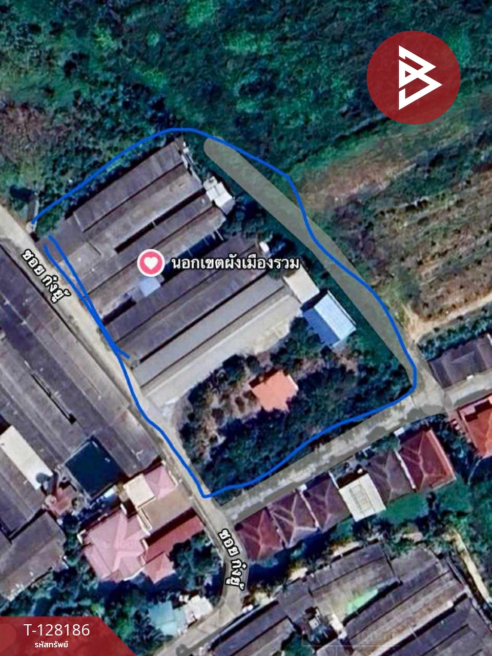 ขายด่วนที่ดินพร้อมสิ่งปลูกสร้าง เนื้อที่ 3 ไร่ 3 งาน 97.2 ตารางวา สามพราน นครปฐม 8