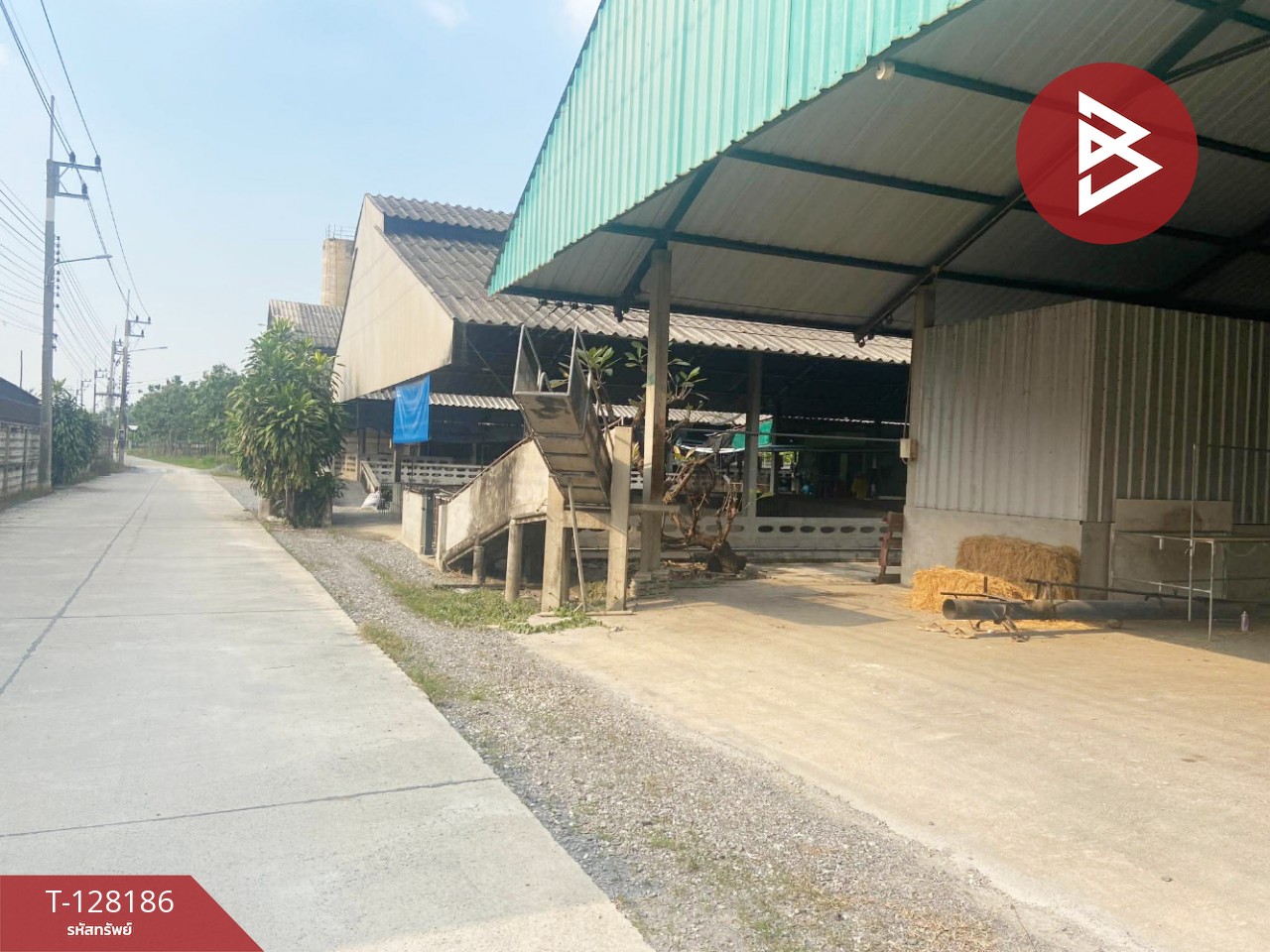 ขายด่วนที่ดินพร้อมสิ่งปลูกสร้าง เนื้อที่ 3 ไร่ 3 งาน 97.2 ตารางวา สามพราน นครปฐม 4