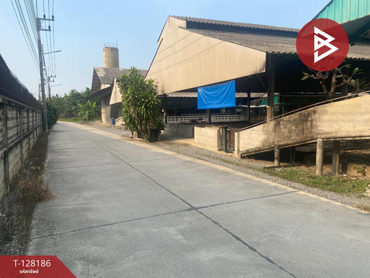 ขายด่วนที่ดินพร้อมสิ่งปลูกสร้าง เนื้อที่ 3 ไร่ 3 งาน 97.2 ตารางวา สามพราน นครปฐม 3