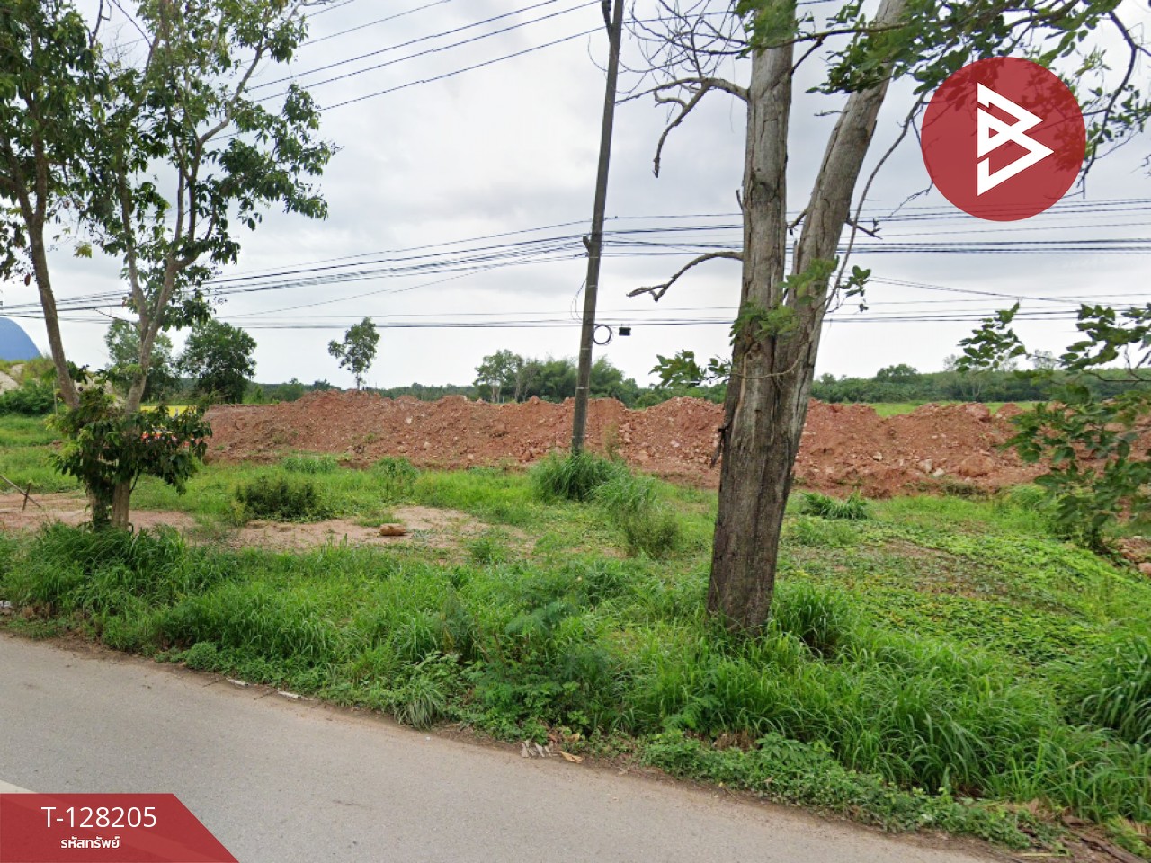 ขายที่ดิน เนื้อที่ 16 ไร่ 3 งาน 80.5 ตร.วา แกลง ระยอง 3