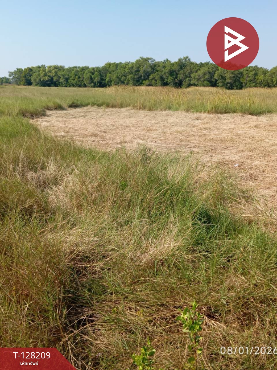 ขายที่ดิน เนื้อที่ 32 ไร่ 9.6 ตร.วา แกลง ระยอง 9