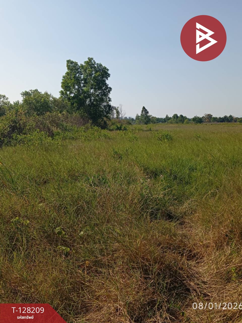 ขายที่ดิน เนื้อที่ 32 ไร่ 9.6 ตร.วา แกลง ระยอง 7