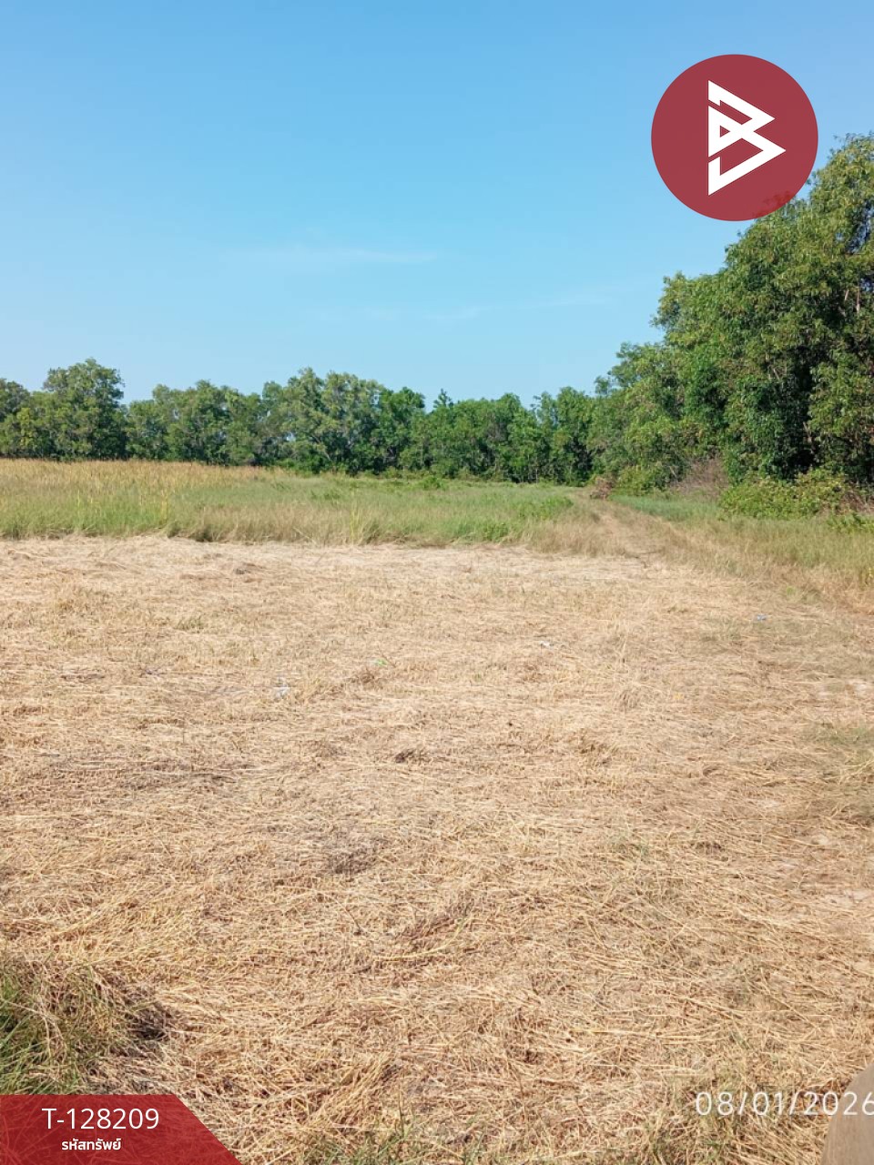 ขายที่ดิน เนื้อที่ 32 ไร่ 9.6 ตร.วา แกลง ระยอง 10