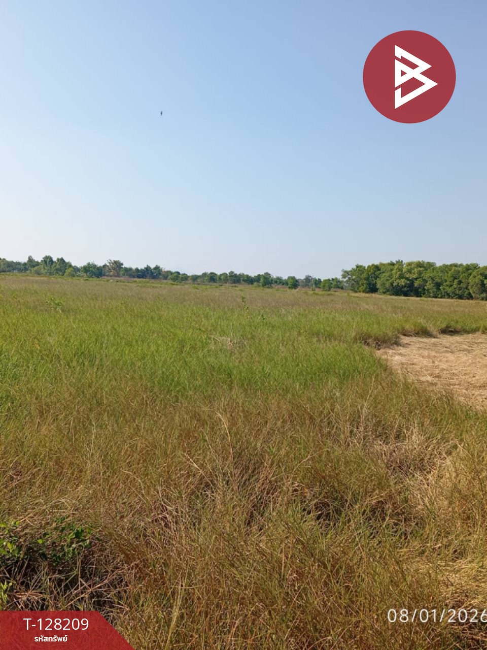 ขายที่ดิน เนื้อที่ 32 ไร่ 9.6 ตร.วา แกลง ระยอง 8