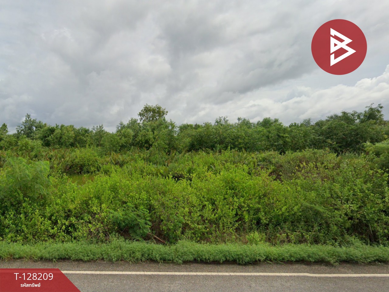 ขายที่ดิน เนื้อที่ 32 ไร่ 9.6 ตร.วา แกลง ระยอง 3