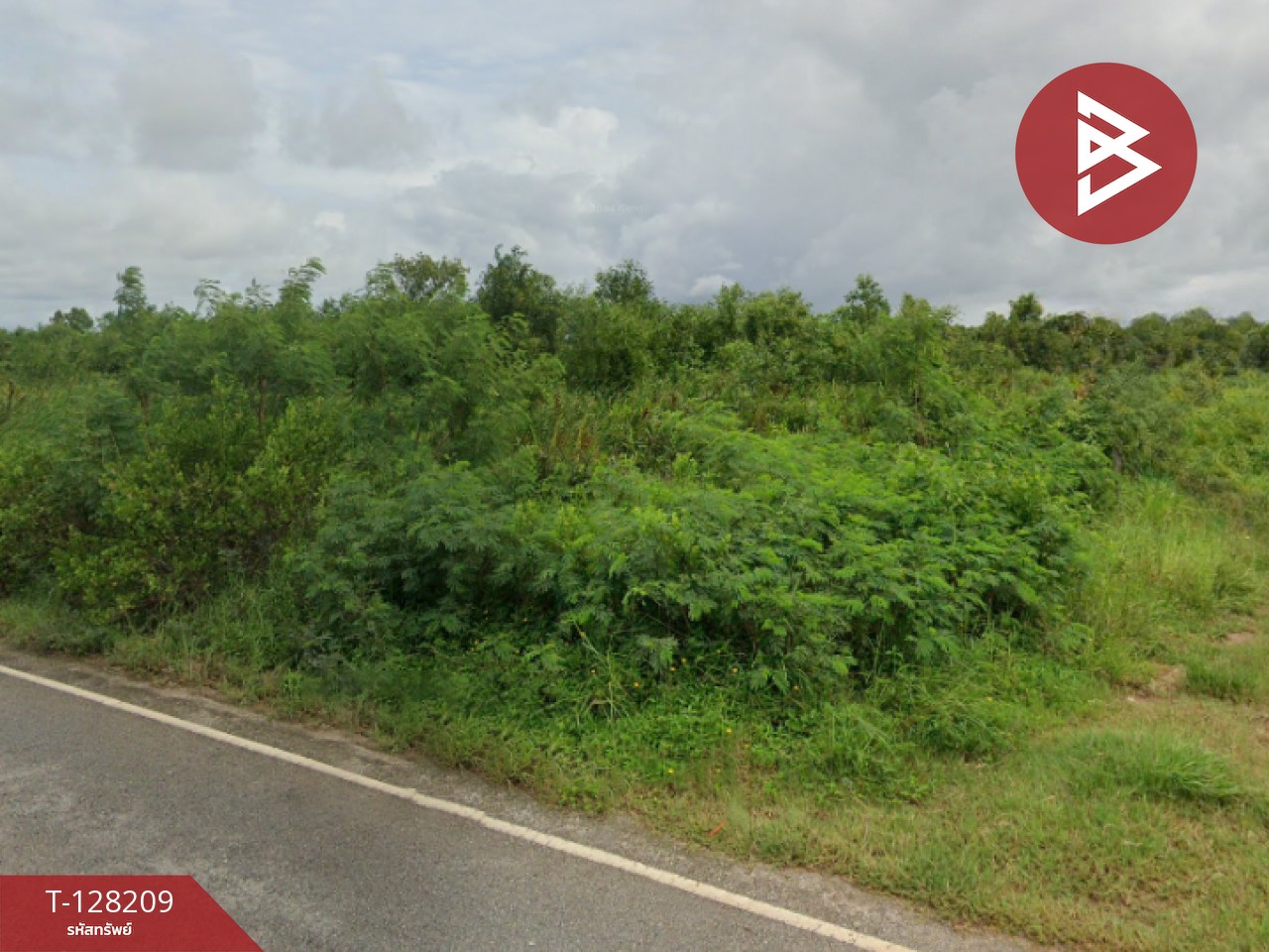 ขายที่ดิน เนื้อที่ 32 ไร่ 9.6 ตร.วา แกลง ระยอง 2