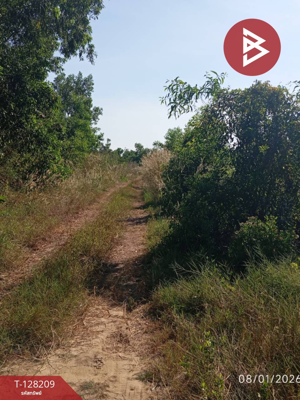 ขายที่ดิน เนื้อที่ 32 ไร่ 9.6 ตร.วา แกลง ระยอง 6