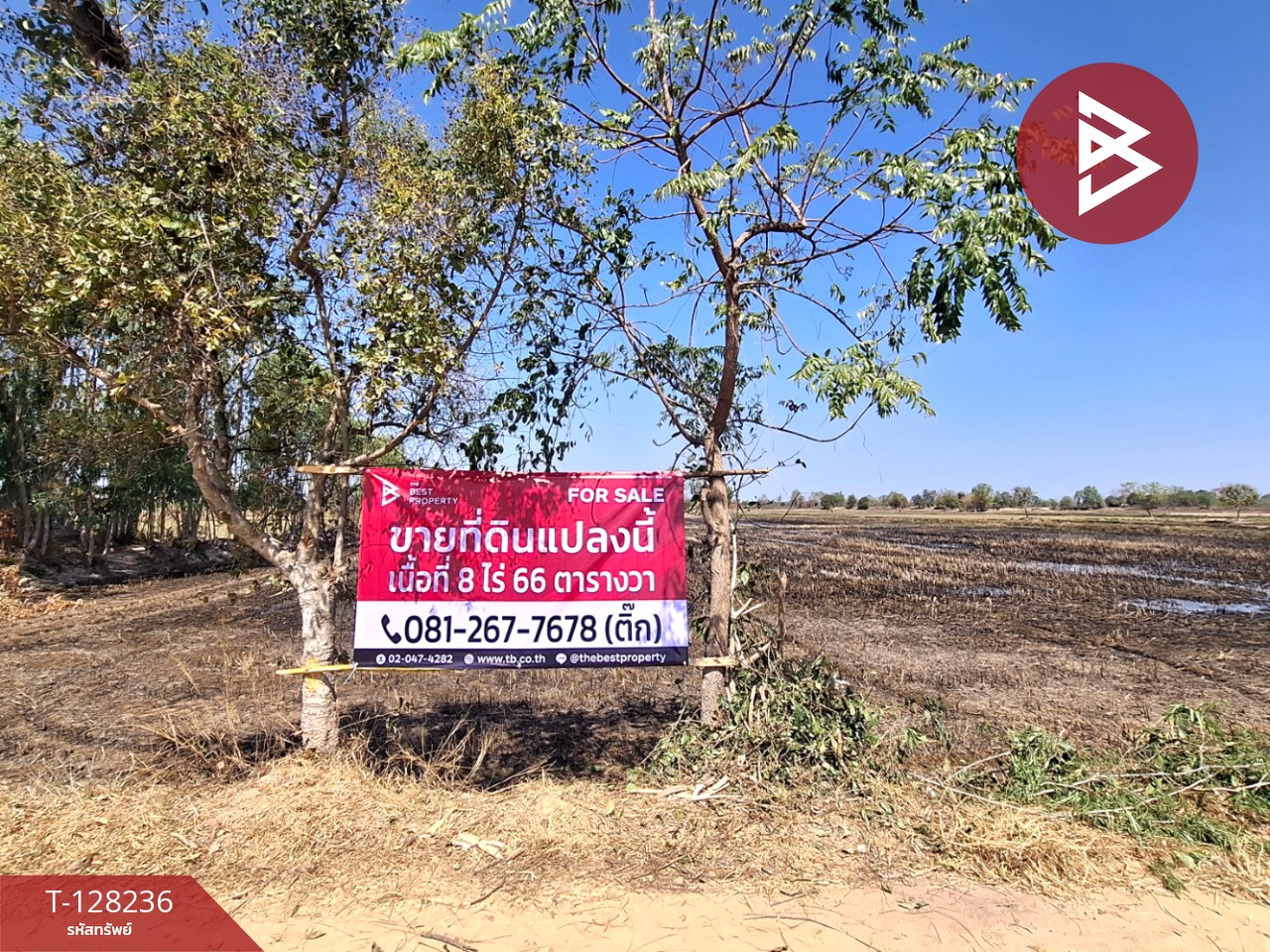 ขายที่ดิน เนื้อที่ 8 ไร่ 66 ตร.วา จังหาร ร้อยเอ็ด 1