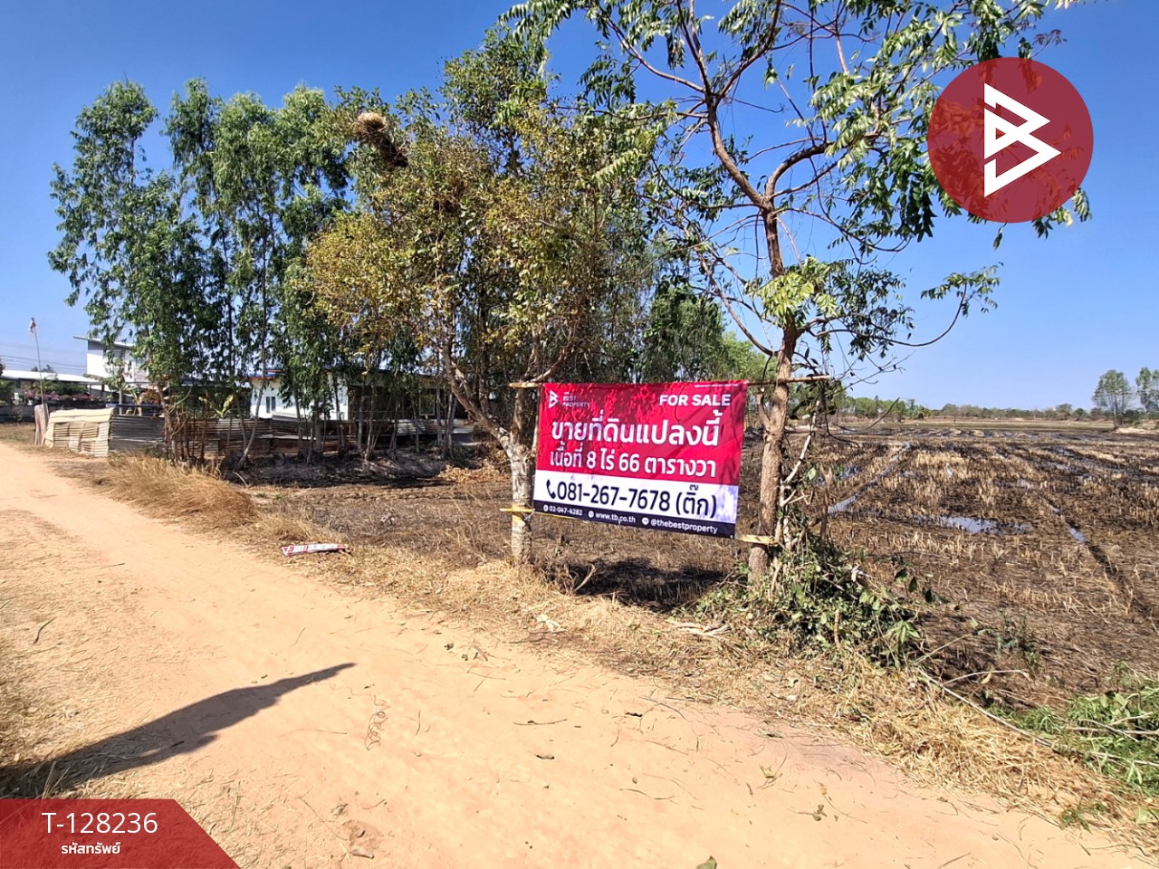 ขายที่ดิน เนื้อที่ 8 ไร่ 66 ตร.วา จังหาร ร้อยเอ็ด 3