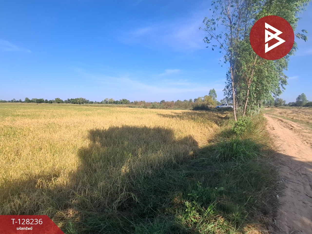 ขายที่ดิน เนื้อที่ 8 ไร่ 66 ตร.วา จังหาร ร้อยเอ็ด 10