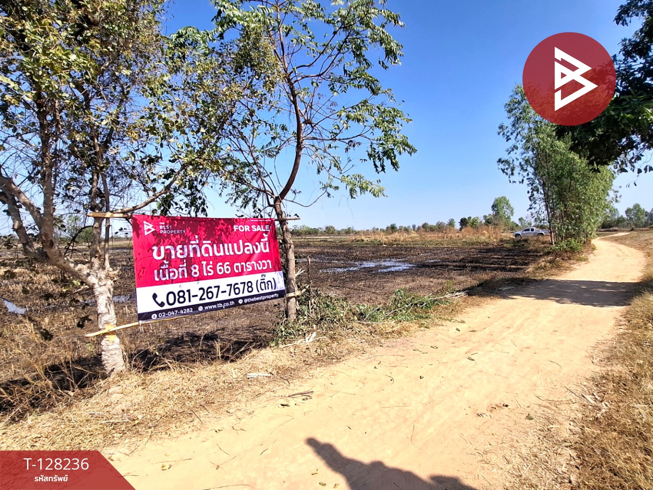 ขายที่ดิน เนื้อที่ 8 ไร่ 66 ตร.วา จังหาร ร้อยเอ็ด 2