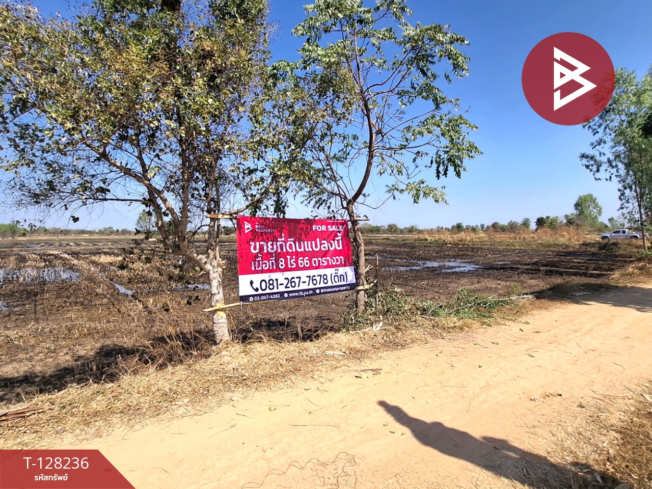 ขายที่ดิน เนื้อที่ 8 ไร่ 66 ตร.วา จังหาร ร้อยเอ็ด 4