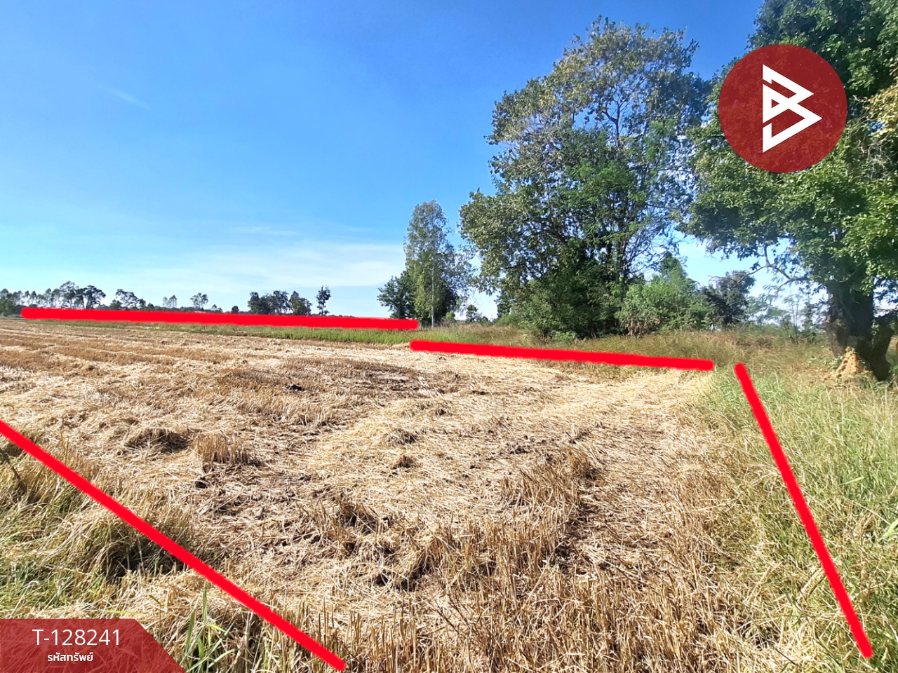 ขายที่ดิน เนื้อที่ 3 ไร่ 1 งาน 5 ตร.วา จังหาร ร้อยเอ็ด 7