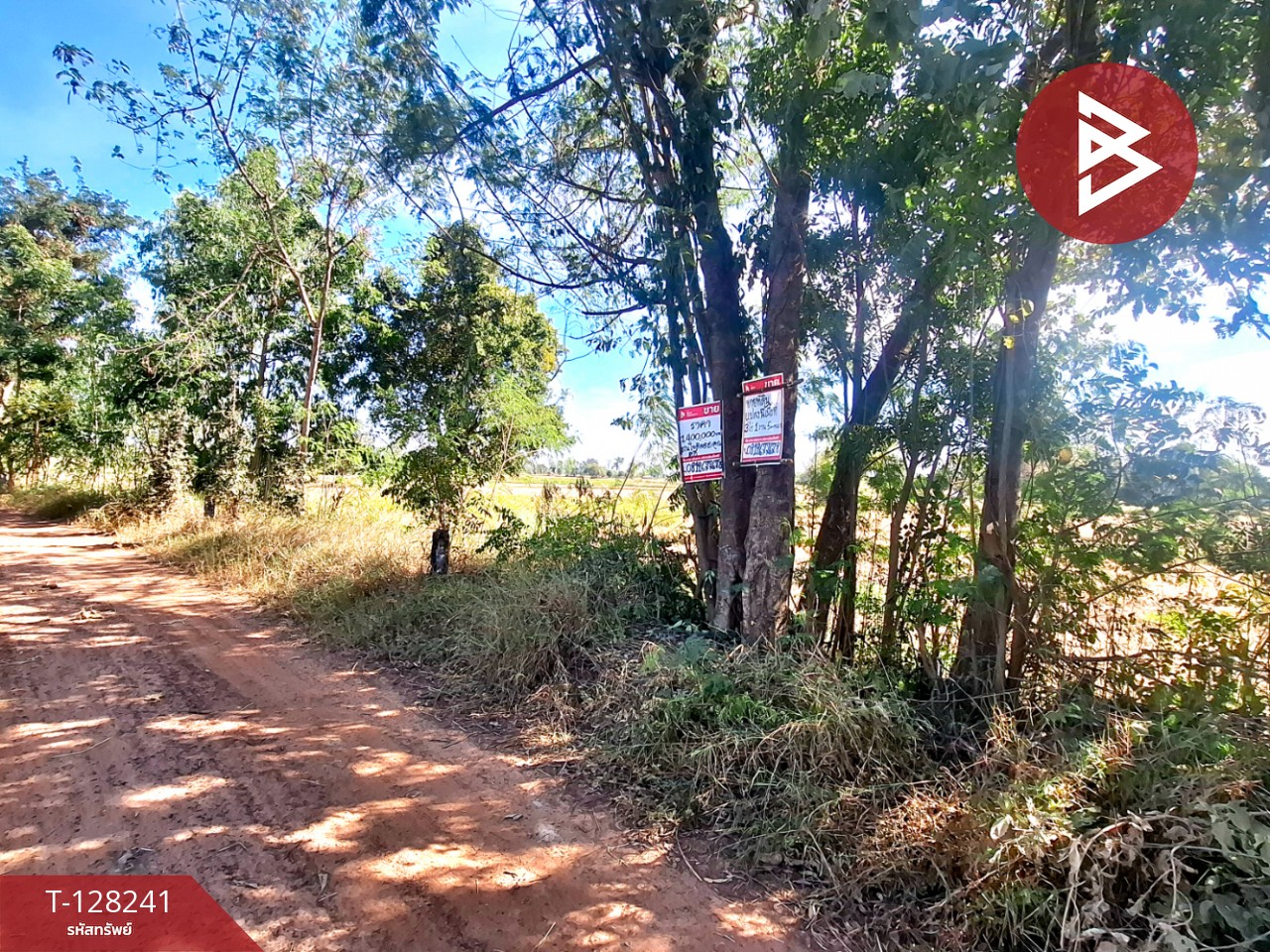 ขายที่ดิน เนื้อที่ 3 ไร่ 1 งาน 5 ตร.วา จังหาร ร้อยเอ็ด 3