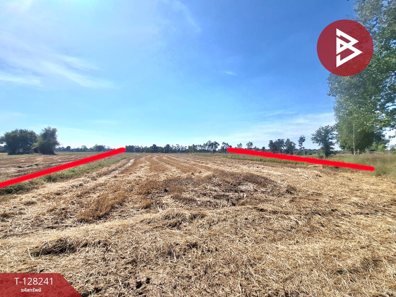 ขายที่ดิน เนื้อที่ 3 ไร่ 1 งาน 5 ตร.วา จังหาร ร้อยเอ็ด 4