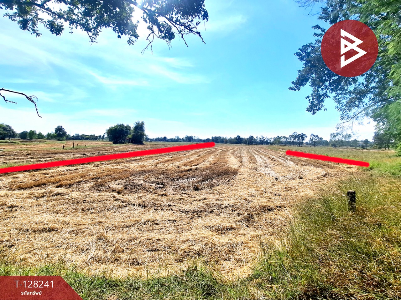 ขายที่ดิน เนื้อที่ 3 ไร่ 1 งาน 5 ตร.วา จังหาร ร้อยเอ็ด 5