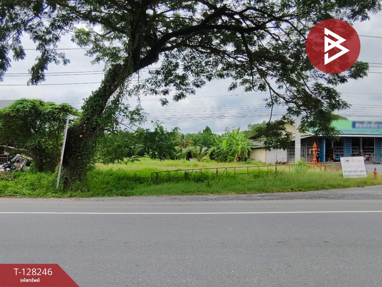 ขายที่ดิน เนื้อที่ 1 ไร่ 2 งาน 61.2 ตร.วา ร่อนพิบูลย์ นครศรีธรรมราช 2