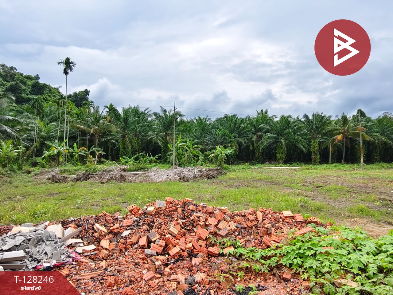 ขายที่ดิน เนื้อที่ 1 ไร่ 2 งาน 61.2 ตร.วา ร่อนพิบูลย์ นครศรีธรรมราช 5