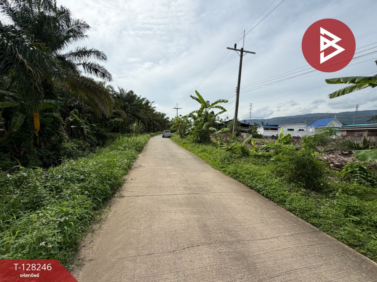 ขายที่ดิน เนื้อที่ 1 ไร่ 2 งาน 61.2 ตร.วา ร่อนพิบูลย์ นครศรีธรรมราช 6