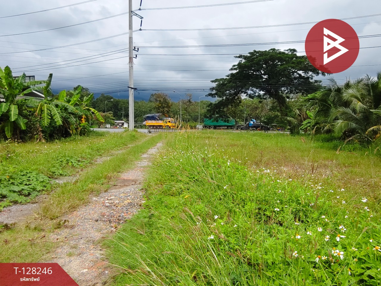 ขายที่ดิน เนื้อที่ 1 ไร่ 2 งาน 61.2 ตร.วา ร่อนพิบูลย์ นครศรีธรรมราช 1