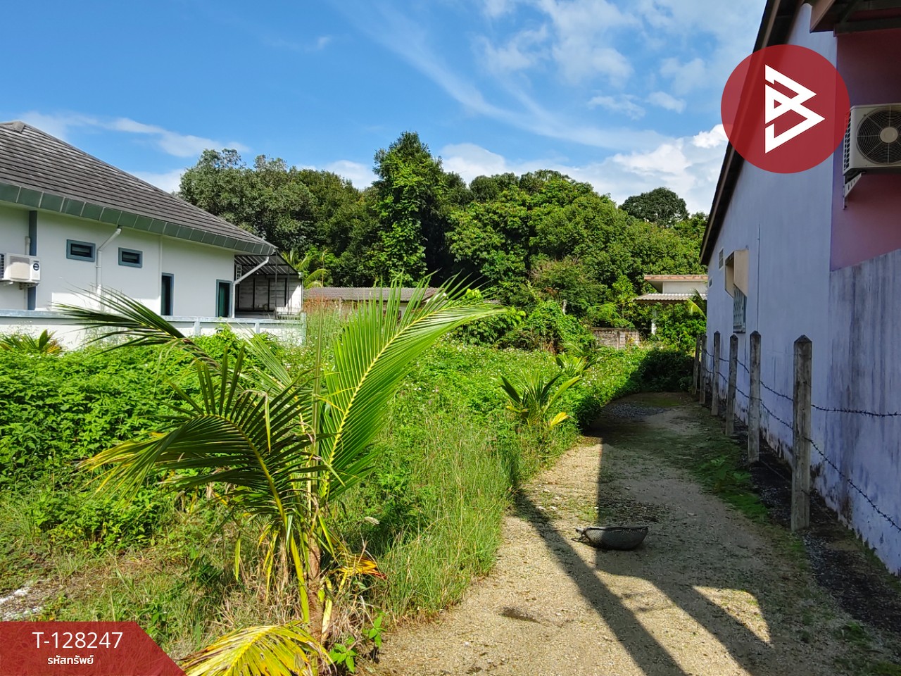 ขายที่ดิน เนื้อที่ 63 ตร.วา สิชล นครศรีธรรมราช 2