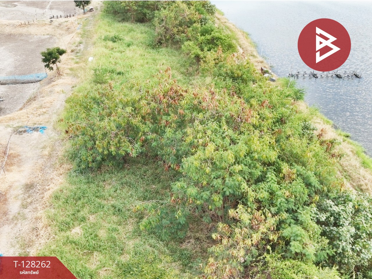 ขายที่ดิน เนื้อที่ 5 ไร่ 75 ตร.วา บางปะกง ฉะเชิงเทรา 7