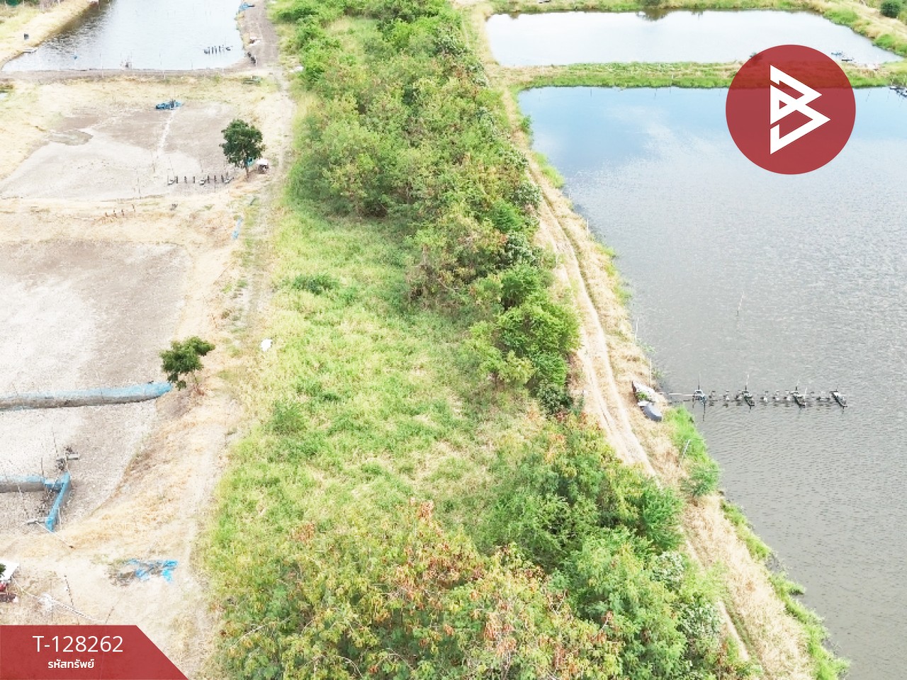 ขายที่ดิน เนื้อที่ 5 ไร่ 75 ตร.วา บางปะกง ฉะเชิงเทรา 5