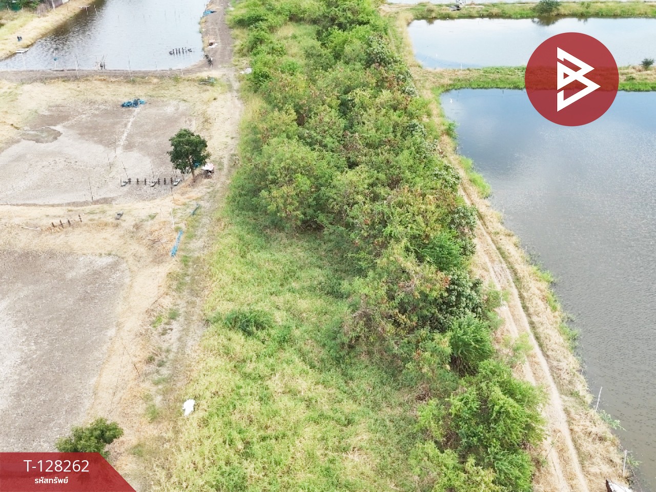 ขายที่ดิน เนื้อที่ 5 ไร่ 75 ตร.วา บางปะกง ฉะเชิงเทรา 6