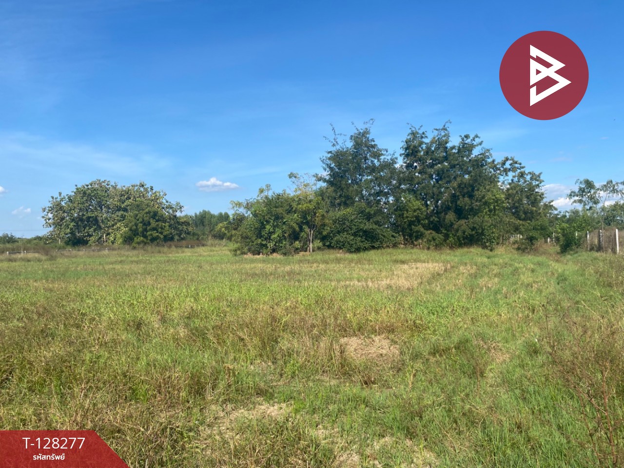 ขายที่ดินติดถนน เนื้อที่ 4 ไร่ 2 งาน 44 ตร.วา พระนอน นครสวรรค์ 10