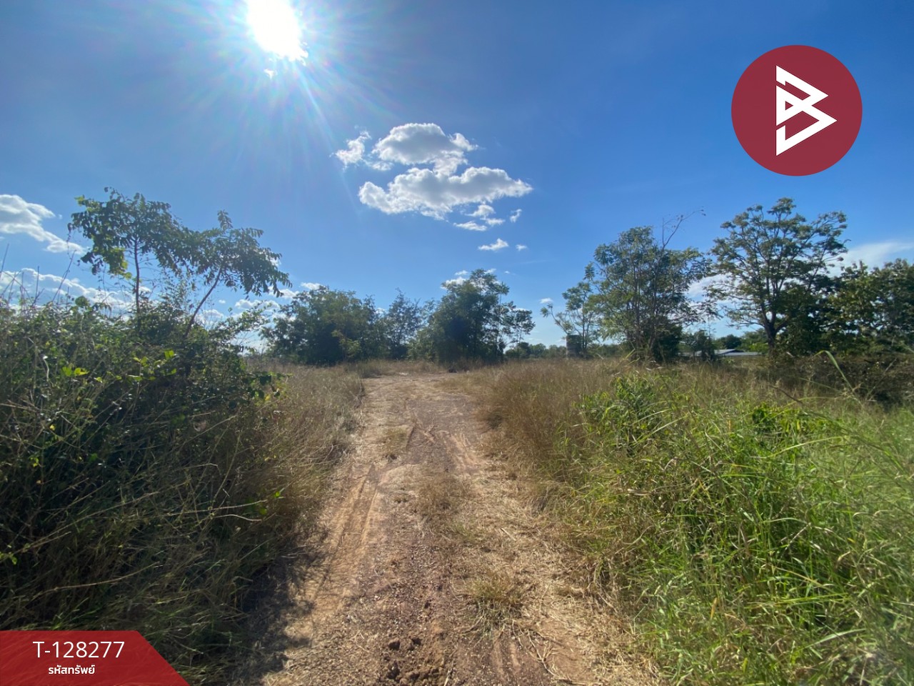 ขายที่ดินติดถนน เนื้อที่ 4 ไร่ 2 งาน 44 ตร.วา พระนอน นครสวรรค์ 6