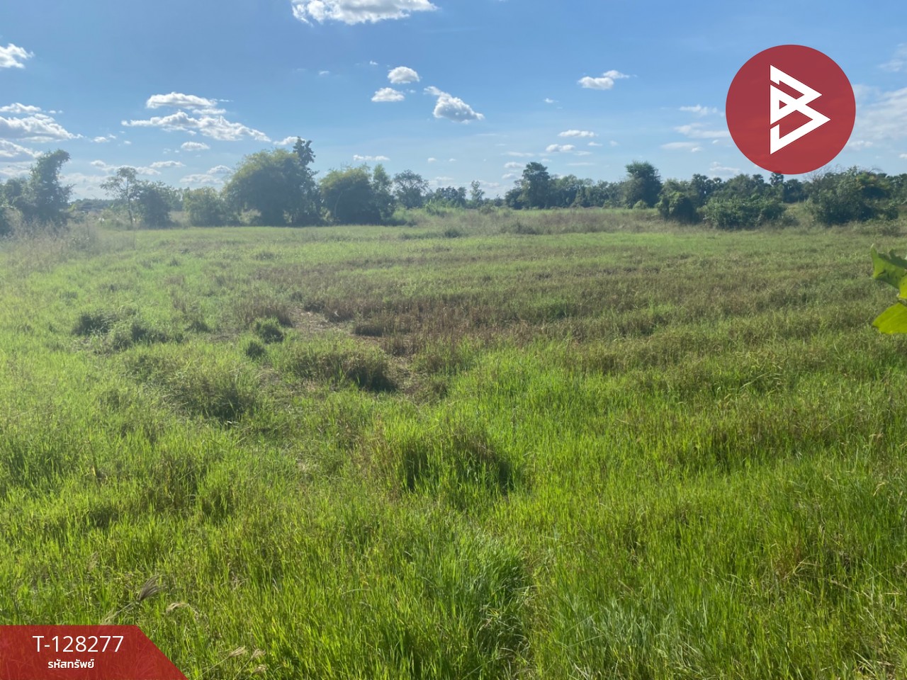 ขายที่ดินติดถนน เนื้อที่ 4 ไร่ 2 งาน 44 ตร.วา พระนอน นครสวรรค์ 1