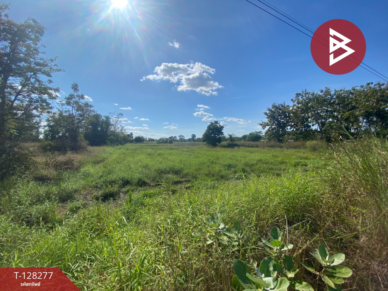 ขายที่ดินติดถนน เนื้อที่ 4 ไร่ 2 งาน 44 ตร.วา พระนอน นครสวรรค์ 3