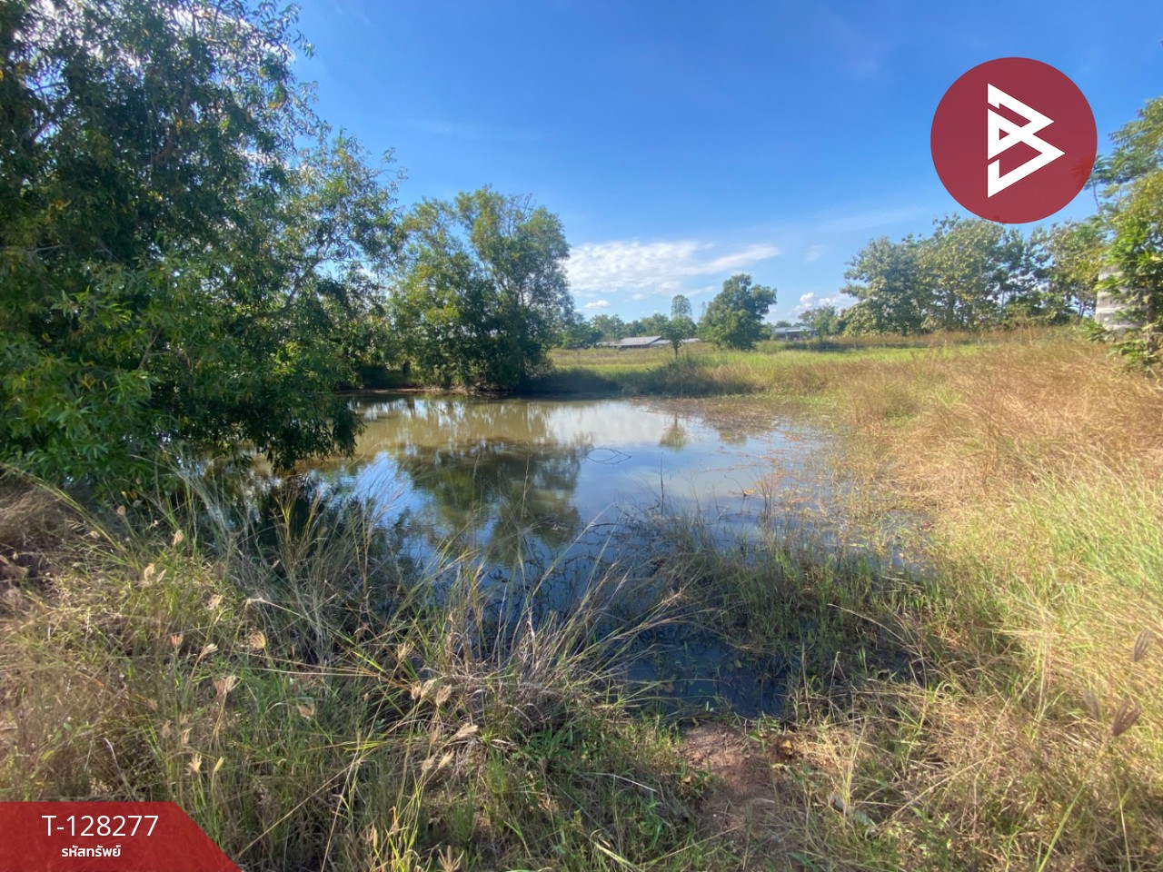 ขายที่ดินติดถนน เนื้อที่ 4 ไร่ 2 งาน 44 ตร.วา พระนอน นครสวรรค์ 9