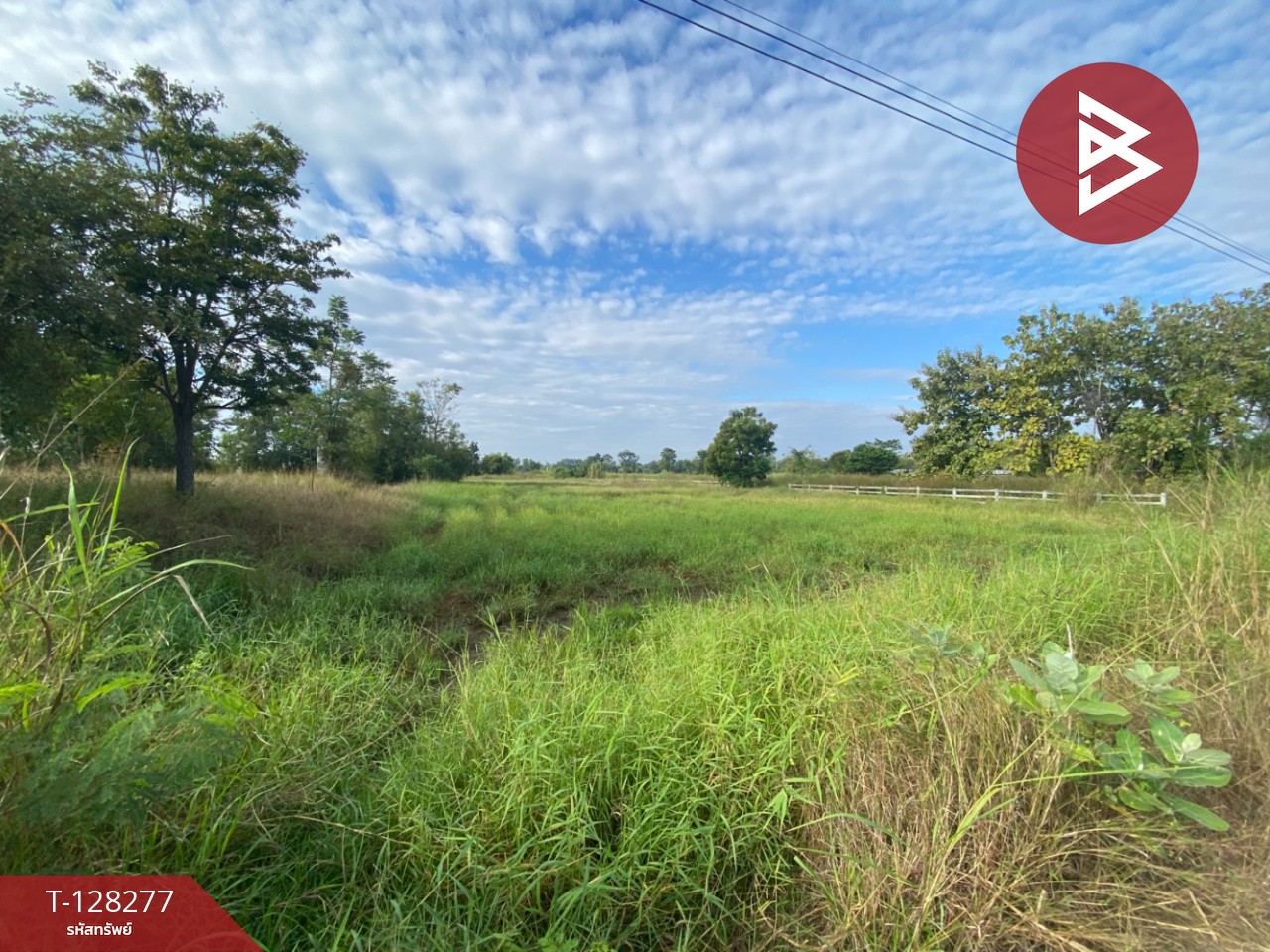 ขายที่ดินติดถนน เนื้อที่ 4 ไร่ 2 งาน 44 ตร.วา พระนอน นครสวรรค์ 5