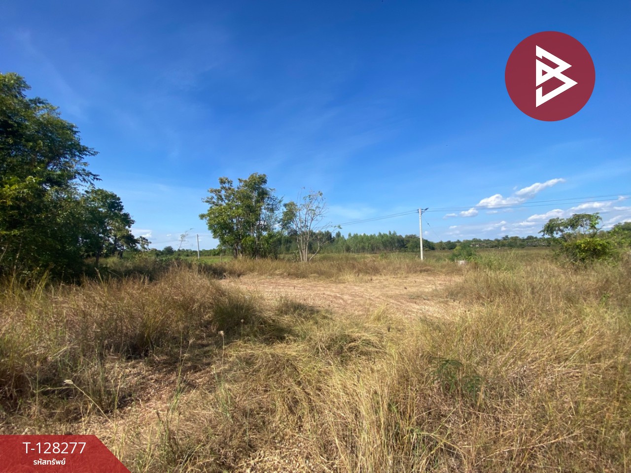 ขายที่ดินติดถนน เนื้อที่ 4 ไร่ 2 งาน 44 ตร.วา พระนอน นครสวรรค์ 7