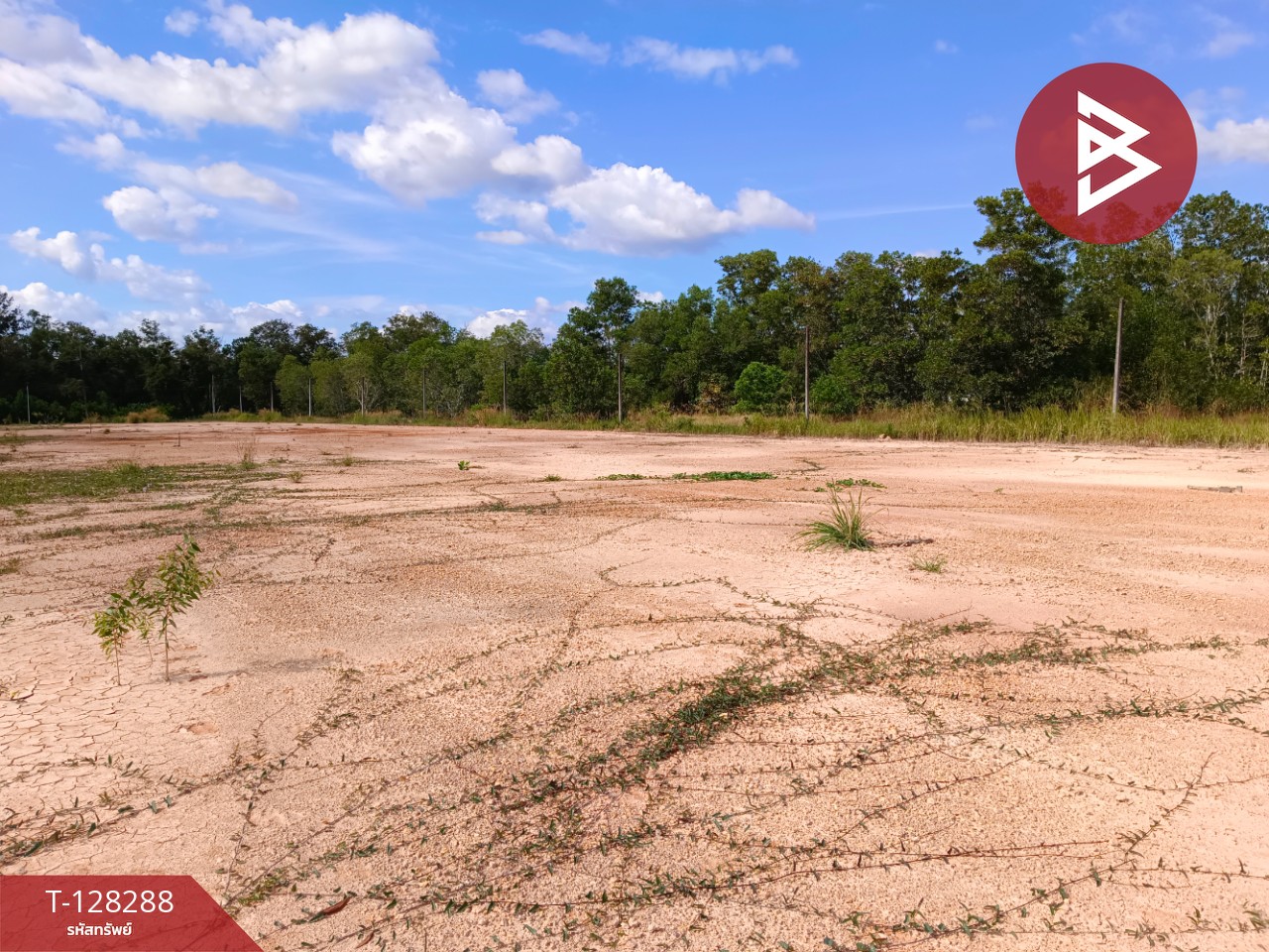 ขายที่ดิน เนื้อที่ 1 ไร่ วังกระแจะ ตราด 2